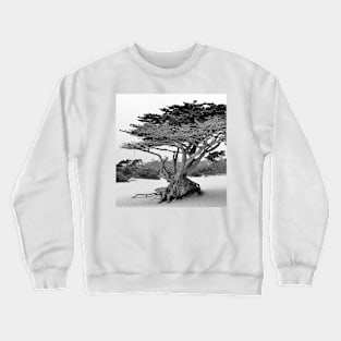 California Beach Tree Crewneck Sweatshirt